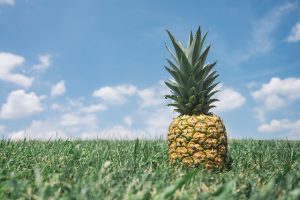 De groei en charme van de plante ananas: een exotische aanwinst voor je interieur